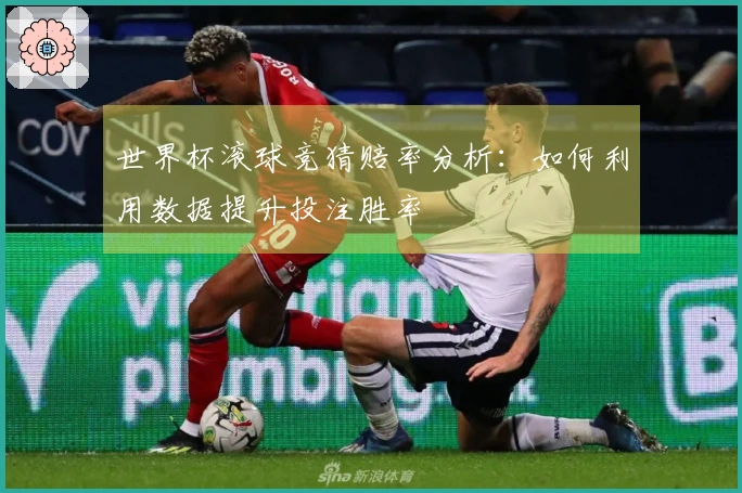 世界杯滚球竞猜赔率分析：如何利用数据提升投注胜率