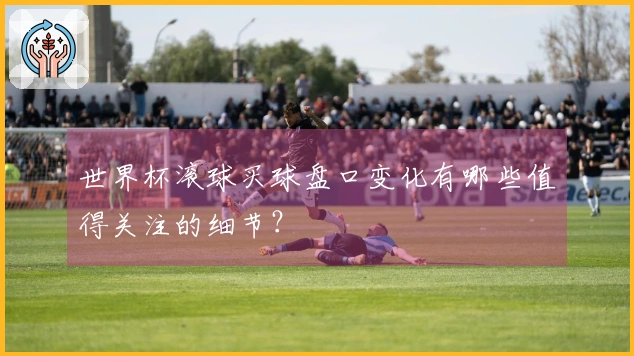 世界杯滚球买球盘口变化有哪些值得关注的细节？