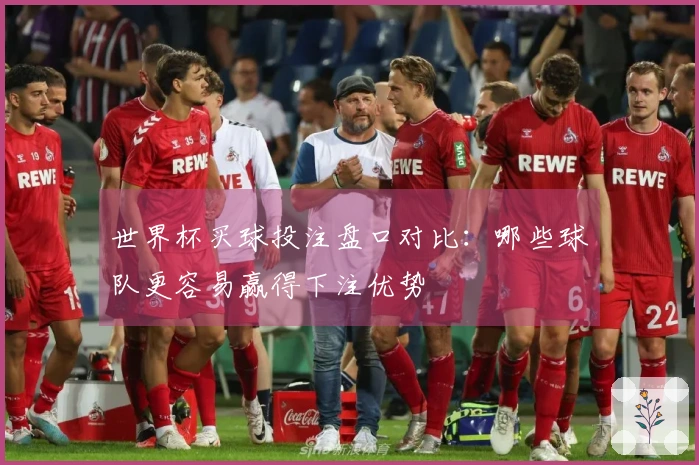 世界杯买球投注盘口对比：哪些球队更容易赢得下注优势