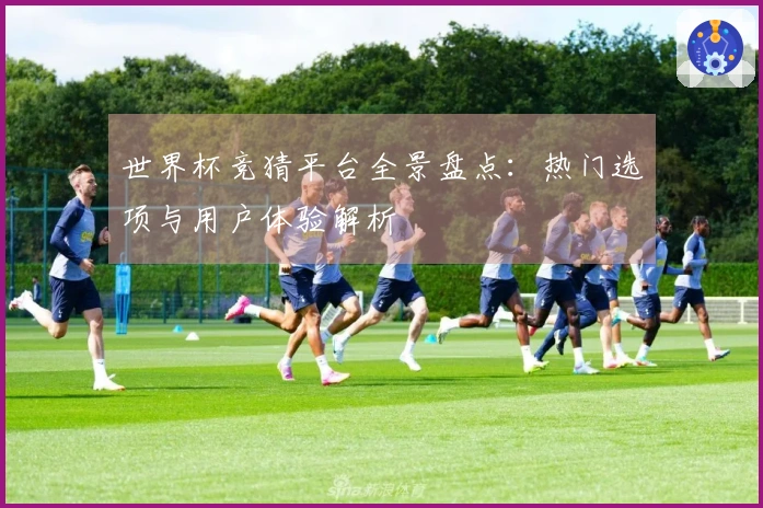 世界杯竞猜平台全景盘点：热门选项与用户体验解析