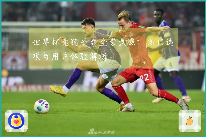 世界杯竞猜平台全景盘点：热门选项与用户体验解析
